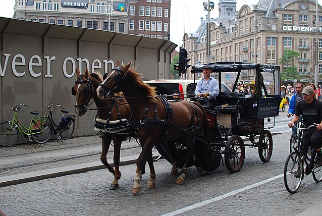 caballos-en-amsterdam