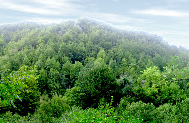 Montaña-Tara-Serbia