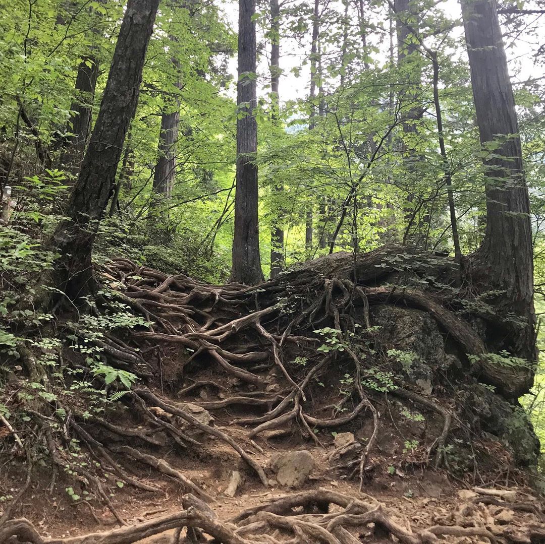 Monte-Mitake