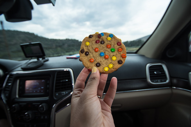 galleta-dentro-de-un-coche