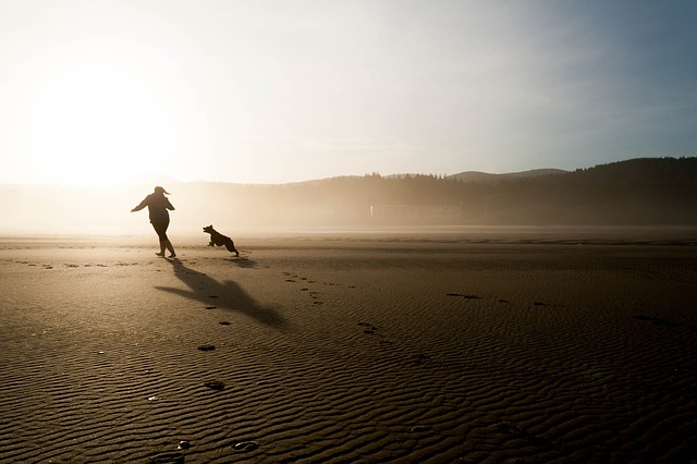 persona-corriendo-con-mascota