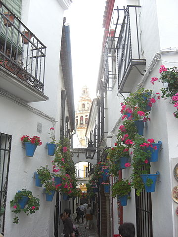 Calleja-de-las-Flores