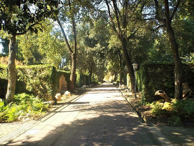 Jardín-Botánico