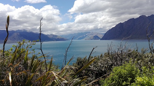 Nueva-Zelanda-Isla-Sur