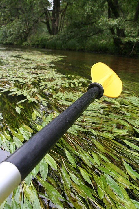 palas para kayak