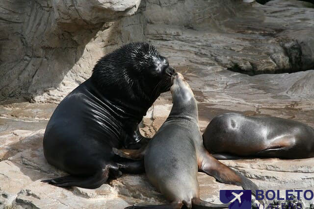 Zona-de-las-Islas-Oceanografic