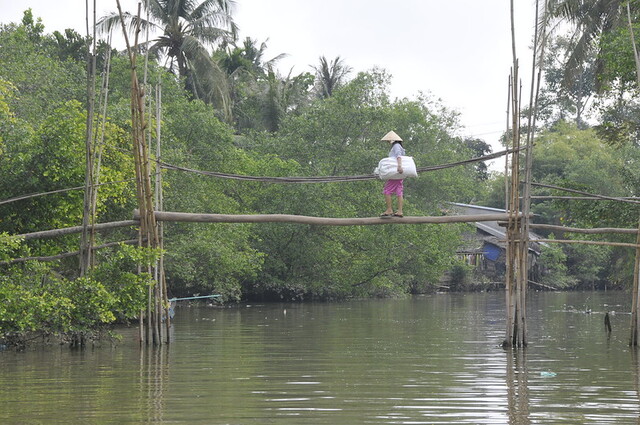 El-Puente-de-los-monos-Vietnam