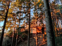 Cabanes als arbres: opiniones, precios y consejos