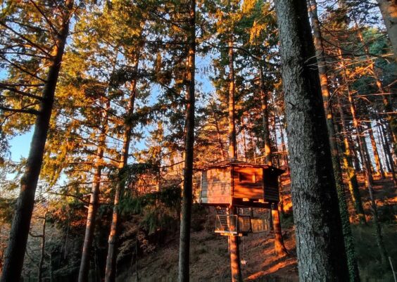 Cabanes als arbres: opiniones, precios y consejos