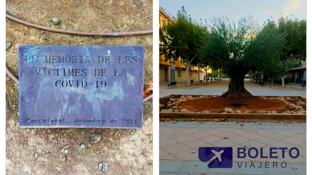 La placa en este olivo centenario lleva el lema “En memoria de les victimes de la COVID-19”